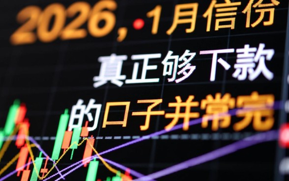 2026年1月无视黑白能下款的口子有哪些