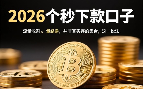 为何有人说有2026个秒下款的口子