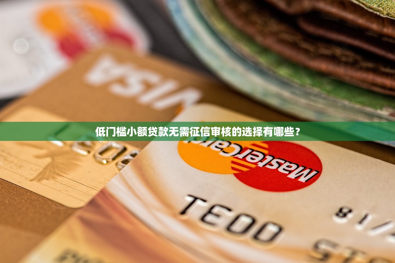 黑户必过口子十三万基金亏损解析