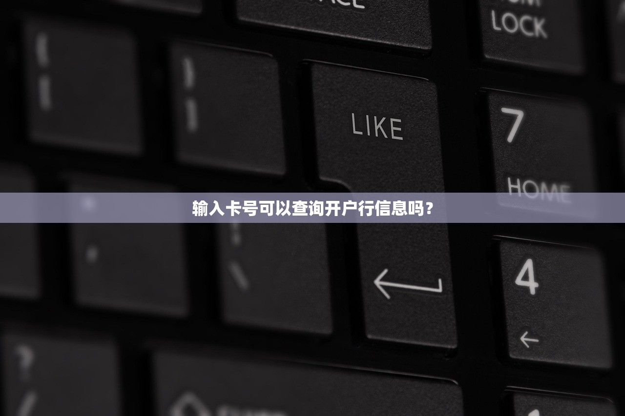 2025年花户黑户放款平台大全