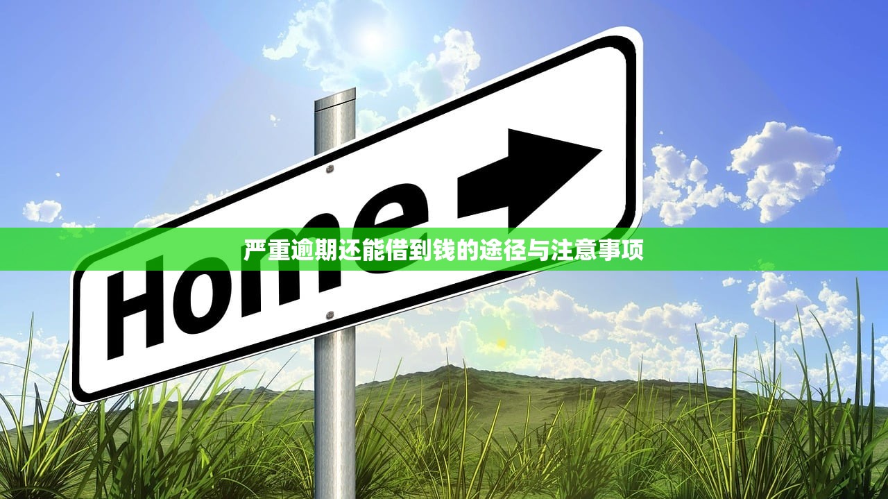 征信黑户车辆会被拖走吗