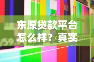 东原贷款平台怎么样？真实评测+用户反馈，一文看懂优缺点
