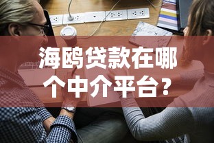 海鸥贷款在哪个中介平台?合作渠道与申请攻略解析 海鸥贷款在哪个中介平台?合作渠道与申请攻略解析