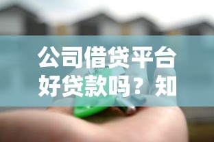 公司借贷平台好贷款吗？知乎用户最关心的10个问题解析