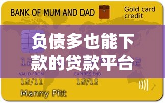 玖富万卡近期下款成功率解析 玖富万卡近期下款成功率解析