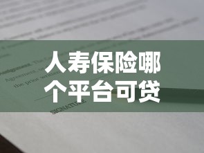 人寿保险哪个平台可贷款？5大靠谱渠道实测推荐