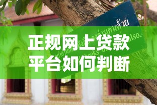 正规网上贷款平台如何判断？五大识别技巧教你避坑
