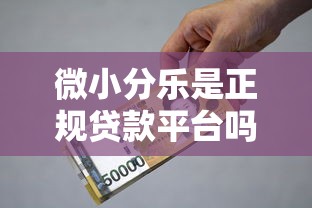 微小分乐是正规贷款平台吗？解析资质、利率、用户口碑全攻略