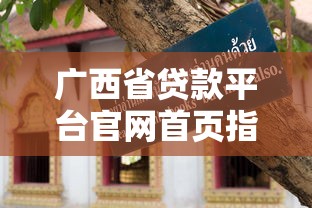 广西省贷款平台官网首页指南：正规渠道与避坑技巧