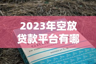 2023年空放贷款平台有哪些公司？这8家靠谱推荐（附申请攻略）