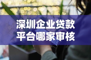 深圳企业贷款平台哪家审核快？中小企业融资攻略