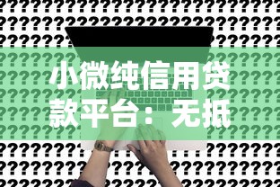 小微纯信用贷款平台：无抵押快速申请指南