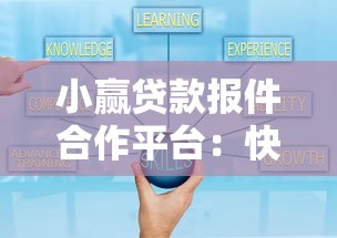小赢贷款报件合作平台：快速放款+低息方案解析