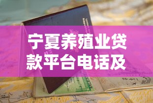 宁夏养殖业贷款平台电话及正规申请指南