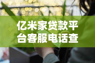亿米家贷款平台客服电话查询及贷款服务指南 亿米家贷款平台客服电话查询及贷款服务指南