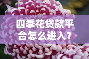 四季花贷款平台怎么进入？详细步骤与使用指南分享