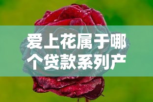 爱上花属于哪个贷款系列产品
