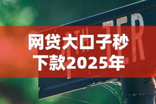 网贷大口子秒下款2025年真实教程！本文为您精心探究！