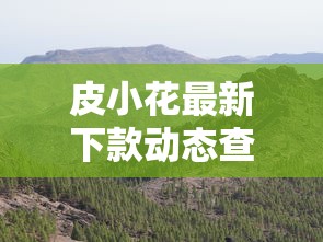 皮小花最新下款动态查询