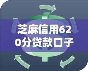 淘花花系列口子来源与安全性解析