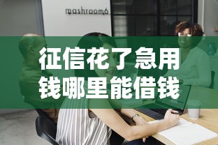 征信花了急用钱哪里能借钱