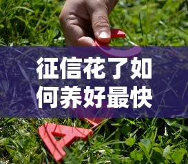 征信花了如何养好最快恢复方法 征信花了如何养好最快恢复方法