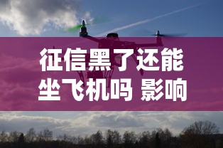 征信黑了还能坐飞机吗 影响解析 征信黑了还能坐飞机吗 影响解析