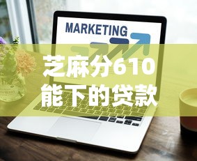 芝麻分610能下的贷款口子大全 芝麻分610能下的贷款口子大全