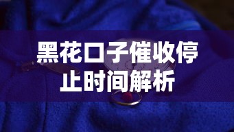 黑花口子催收停止时间解析 黑花口子催收停止时间解析