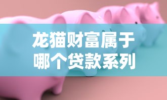 龙猫财富属于哪个贷款系列