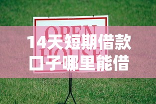 14天短期借款口子哪里能借到