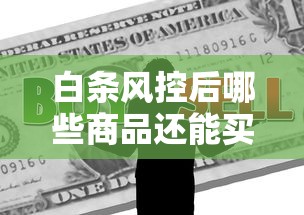白条风控后哪些商品还能买