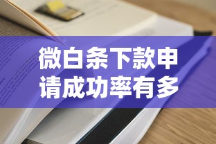 微白条下款申请成功率有多高