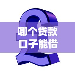 哪个贷款口子能借到钱