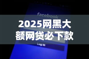 2025网黑大额网贷必下款平台 2025网黑大额网贷必下款平台