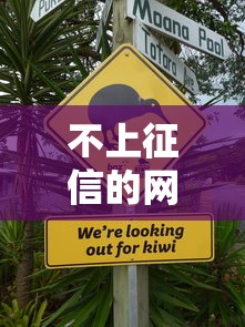 不上征信的网贷8年还能借吗