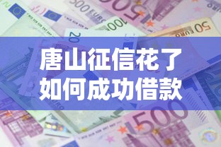 唐山征信花了如何成功借款 唐山征信花了如何成功借款