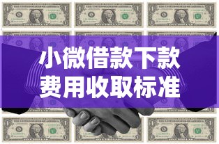 小微借款下款费用收取标准解析 小微借款下款费用收取标准解析