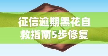 征信逾期黑花自救指南5步修复