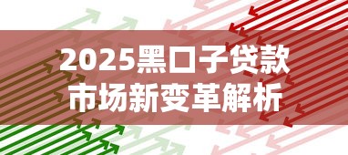 2025黑口子贷款市场新变革解析