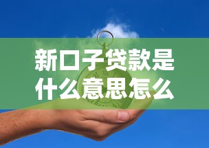新口子贷款是什么意思怎么申请