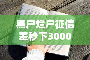 黑户烂户征信差秒下3000借款攻略