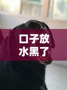 口子放水黑了包过内幕大揭秘 口子放水黑了包过内幕大揭秘