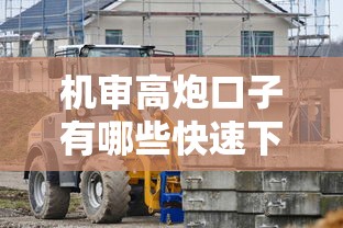 机审高炮口子有哪些快速下款