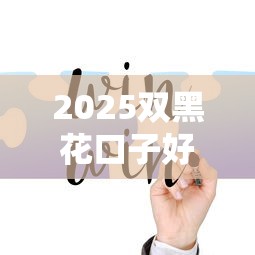 2025双黑花口子好下款渠道推荐
