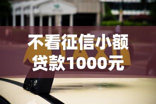 不看征信小额贷款1000元秒到账
