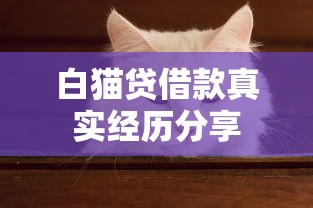 白猫贷借款真实经历分享