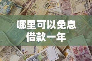 哪里可以免息借款一年