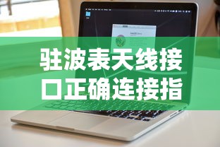 驻波表天线接口正确连接指南 驻波表天线接口正确连接指南