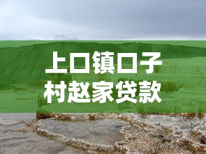 上口镇口子村赵家贷款政策解析